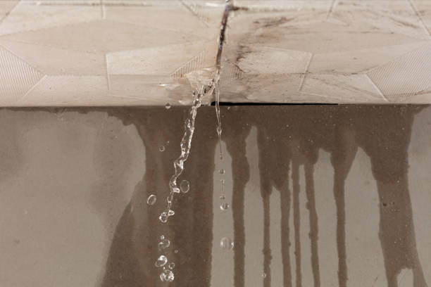 Professional Structural Drying technician working in Senecaville, OH